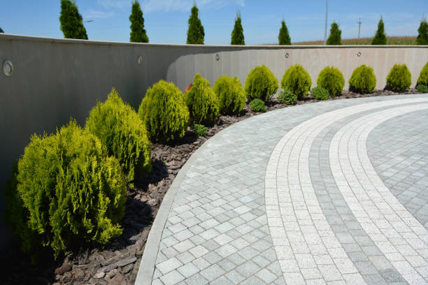 Reasons to Select Us for Your Driveway Paving Requirements in George Mason, VA